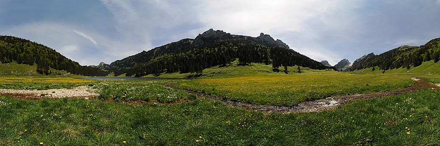 Panorama Sämtis   Fotogalerie Alpstein-Panoramen: Fotos von Aus&shy;sichts&shy;punk&shy;ten im Alp&shy;stein&shy;gebiet : Panorama Sämtis. Die&shy;ses Pano-Foto ist ein Bild&shy;aus&shy;schnitt aus der    360°-Alp&shy;stein-Pano&shy;rama-Tour  . Der  Alp&shy;stein  ist ein sehr be&shy;lieb&shy;tes Wan&shy;der&shy;gebiet im Nord&shy;osten der Schweiz. Ent&shy;sprech&shy;end be&shy;kannt sind seine Aus&shy;sichts&shy;punk&shy;te und Berg&shy;gipfel wie  Sän&shy;tis ,  Ho&shy;her Kas&shy;ten ,  Schäf&shy;ler  und  Alt&shy;mann . Be&shy;lieb&shy;te Wan&shy;der&shy;ziele sind zu&shy;dem die  Eben&shy;alp , die  Meglis&shy;alp  und die  Bol&shy;len&shy;wees  sowie der  Fäh&shy;len&shy;see , der  Säm&shy;tiser&shy;see  und der  See&shy;alp&shy;see . Wei&shy;tere Bil&shy;der von Wan&shy;de&shy;run&shy;gen im Alp&shy;stein fin&shy;den Sie in der    Foto&shy;galerie Wan&shy;de&shy;run&shy;gen im Alp&shy;stein  . Copy&shy;right:  ©&nbspFREDY ZIRN 🇨🇭 APPEN&shy;ZELLER&shy;LINKS.CH : Alpstein, Aussicht, Aussichtspunkt, Panorama, Sämtis