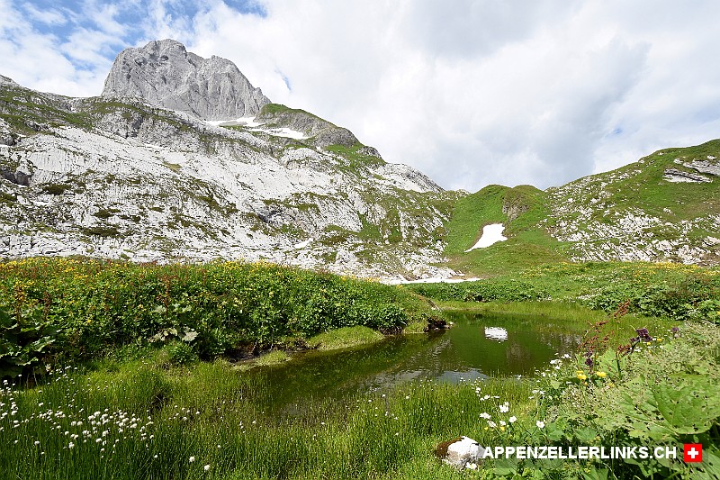 Alpsee im Gebiet Schere-Langtal auf der Chreialp