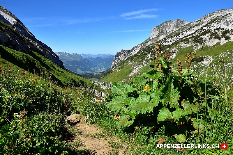 Ausblick vom Wanderweg auf der Alp Gruebe 