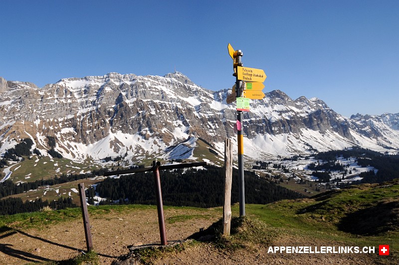 Ausblick zum Alpstein auf dem Wanderweg vom Kronberg auf die Schwaegalp