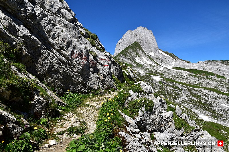 Berg-Wanderweg beim Ruchbuel im Alpstein