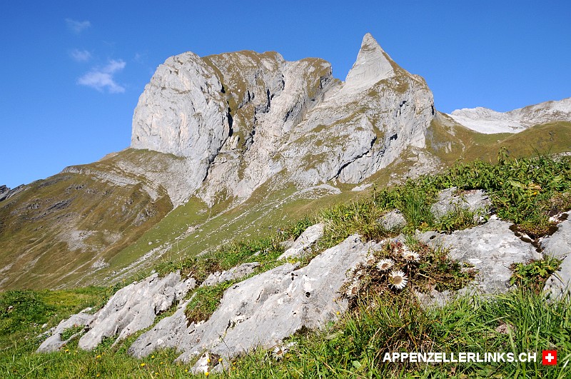 Blick auf den Girenspitz (aka Alpstein-Toblerone)
