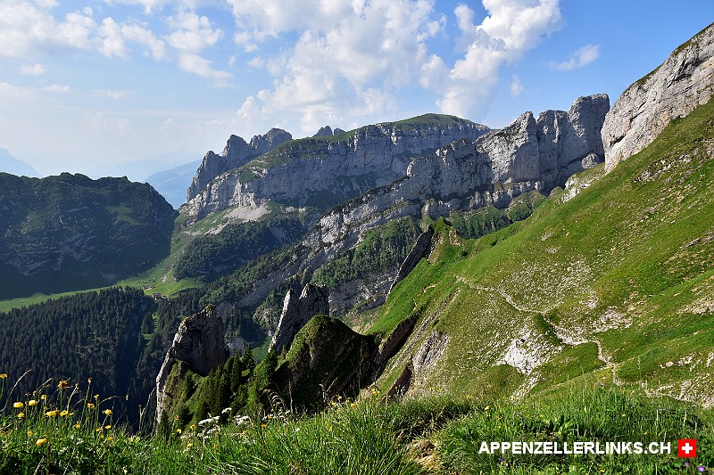 Blick auf den Sax-Schwende Bruch und die Verwerfungen im Alpstein