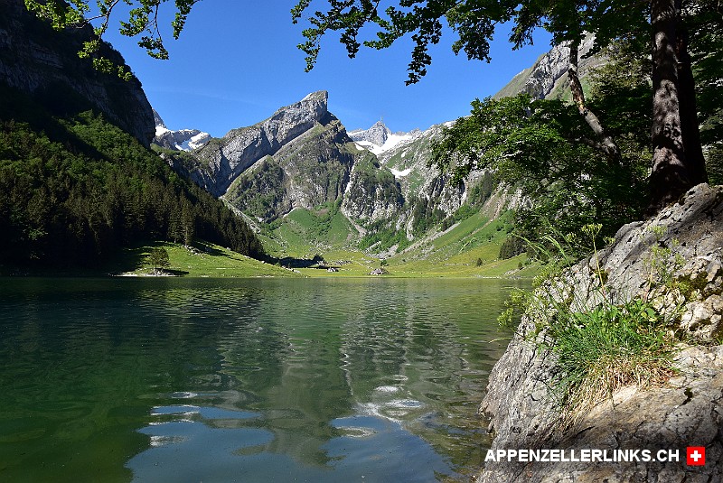 Sommerlicher Seealpsee im Alpstein