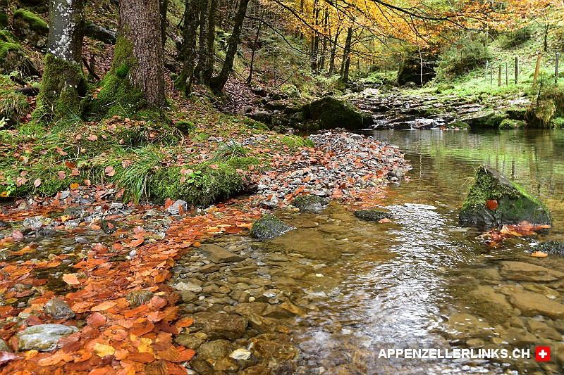 Herbstimpression vom Schwendebach in Wasserauen