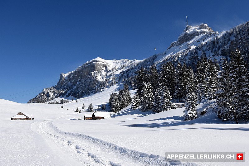 Schneeschuh-Wanderweg bei der Alp Schwaderloch