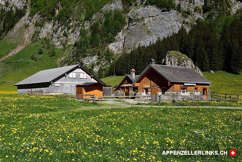 Seealp-Kaeserei bei Spitzigstein im Alpstein