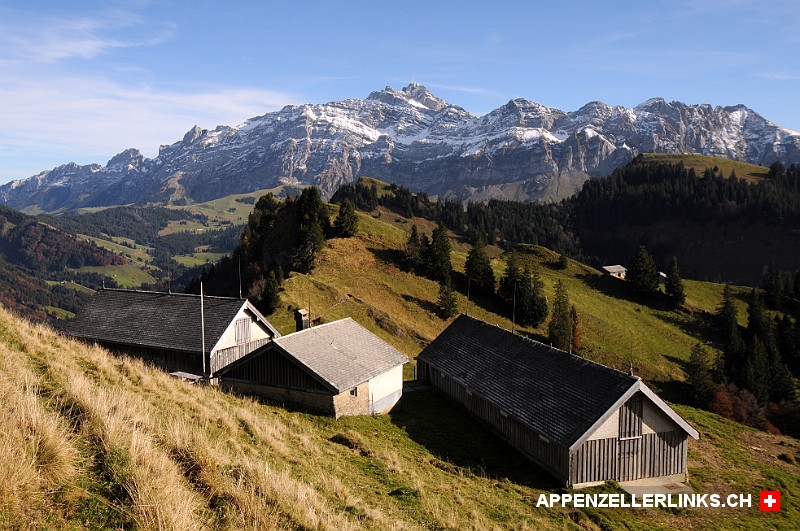 Traumhaftes Alpsteinpanorama auf der Alp Oberer Chenner 