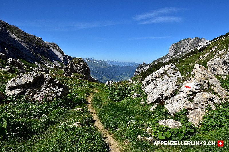 Wanderweg bei Obergruebe im Alpstein