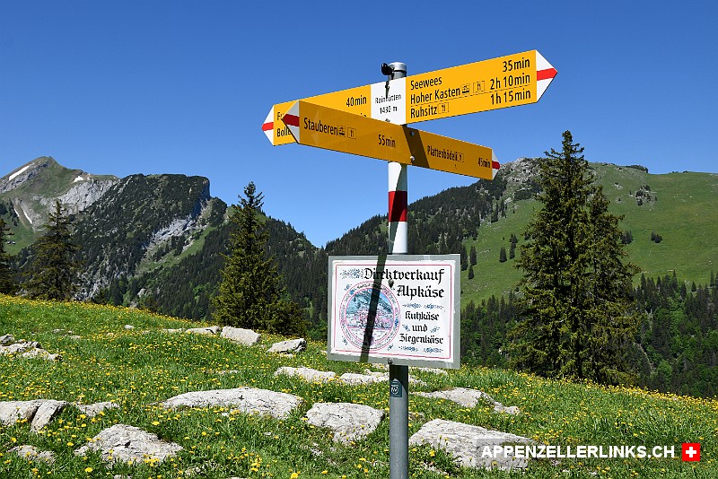 Wanderwegweiser auf der Alp Rainhuetten
