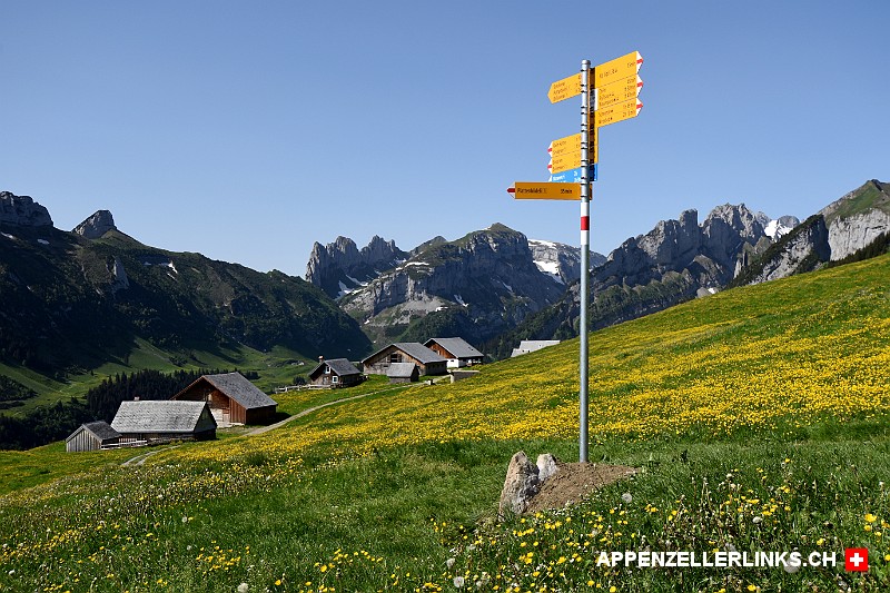 Wanderwegweiser auf der Alp Sigel