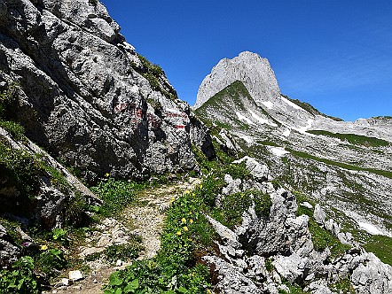 Berg-Wander&shy;weg beim Ruch&shy;bÃ¼el im Alp&shy;stein   Bilder- & Fotogalerie Bergwandern im Alpstein : Fotos von Wande&shy;rungen im Alp&shy;stein&shy;ge&shy;biet - Der Alp&shy;stein ist mit sei&shy;nen Berg&shy;seen, den sie&shy;ben Seil&shy;bah&shy;nen und dem dich&shy;ten Netz an Wan&shy;der&shy;we&shy;gen ein sehr be&shy;lieb&shy;tes Wan&shy;der&shy;ge&shy;biet. Vie&shy;le Berg&shy;gast&shy;hÃ¤u&shy;ser im Alp&shy;stein la&shy;den den Wan&shy;de&shy;rer zu&shy;dem zur er&shy;hol&shy;sa&shy;men Ein&shy;kehr ein. Bild&shy;titel: Berg-Wander&shy;weg beim Ruch&shy;bÃ¼el im Alp&shy;stein.  Bil&shy;der & Fo&shy;tos aus Ap&shy;pen&shy;zell, Alp&shy;stein und Ap&shy;pen&shy;zel&shy;ler&shy;land . Copy&shy;right:  Â©&nbspFREDY ZIRN ðŸ‡¨ðŸ‡­ APPEN&shy;ZELLER&shy;LINKS.CH : Alpstein, Alpsteingebiet, Appenzell, Appenzellerland, Bilder, Fotos, Wandern, Wanderung, Wanderweg