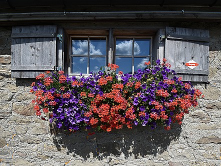 Blumen vor dem Fenster einer Alphuette beim Stockberg.JPG