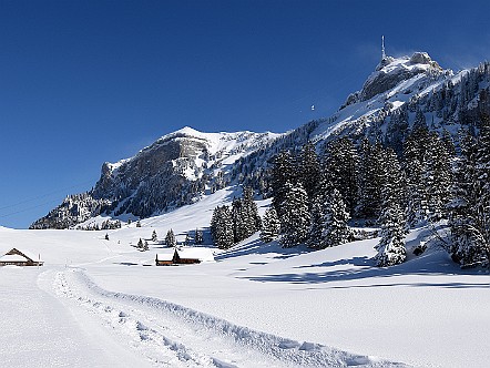 Schneeschuh-Wanderweg bei der Alp Schwaderloch.JPG