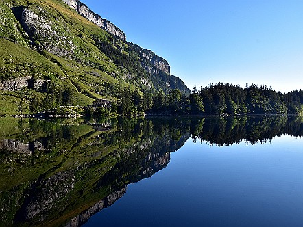 SchÃ¶ne Spie&shy;ge&shy;lung im See&shy;alp&shy;see an einem Morgen   Bilder- & Fotogalerie Bergwandern im Alpstein : Fotos von Wande&shy;rungen im Alp&shy;stein&shy;ge&shy;biet - Der Alp&shy;stein ist mit sei&shy;nen Berg&shy;seen, den sie&shy;ben Seil&shy;bah&shy;nen und dem dich&shy;ten Netz an Wan&shy;der&shy;we&shy;gen ein sehr be&shy;lieb&shy;tes Wan&shy;der&shy;ge&shy;biet. Vie&shy;le Berg&shy;gast&shy;hÃ¤u&shy;ser im Alp&shy;stein la&shy;den den Wan&shy;de&shy;rer zu&shy;dem zur er&shy;hol&shy;sa&shy;men Ein&shy;kehr ein. Bild&shy;titel: SchÃ¶ne Spie&shy;ge&shy;lung im See&shy;alp&shy;see an einem Morgen.  Bil&shy;der & Fo&shy;tos aus Ap&shy;pen&shy;zell, Alp&shy;stein und Ap&shy;pen&shy;zel&shy;ler&shy;land . Copy&shy;right:  Â©&nbspFREDY ZIRN ðŸ‡¨ðŸ‡­ APPEN&shy;ZELLER&shy;LINKS.CH : Alpstein, Alpsteingebiet, Appenzell, Appenzellerland, Bilder, Fotos, Wandern, Wanderung, Wanderweg, Bergwanderung