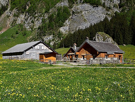 See&shy;alp-KÃ¤&shy;se&shy;rei bei Spit&shy;zig&shy;stein im Alp&shy;stein   Bilder- & Fotogalerie Bergwandern im Alpstein : Fotos von Wande&shy;rungen im Alp&shy;stein&shy;ge&shy;biet - Der Alp&shy;stein ist mit sei&shy;nen Berg&shy;seen, den sie&shy;ben Seil&shy;bah&shy;nen und dem dich&shy;ten Netz an Wan&shy;der&shy;we&shy;gen ein sehr be&shy;lieb&shy;tes Wan&shy;der&shy;ge&shy;biet. Vie&shy;le Berg&shy;gast&shy;hÃ¤u&shy;ser im Alp&shy;stein la&shy;den den Wan&shy;de&shy;rer zu&shy;dem zur er&shy;hol&shy;sa&shy;men Ein&shy;kehr ein. Bild&shy;titel: See&shy;alp-KÃ¤&shy;se&shy;rei bei Spit&shy;zig&shy;stein im Alp&shy;stein.  Bil&shy;der & Fo&shy;tos aus Ap&shy;pen&shy;zell, Alp&shy;stein und Ap&shy;pen&shy;zel&shy;ler&shy;land . Copy&shy;right:  Â©&nbspFREDY ZIRN ðŸ‡¨ðŸ‡­ APPEN&shy;ZELLER&shy;LINKS.CH : Alpstein, Alpsteingebiet, Appenzell, Appenzellerland, Bilder, Fotos, Wandern, Wanderung, Wanderweg, Bergwanderung
