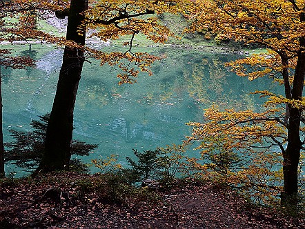 Stimmungsvolle Herbstfarben bei truebem Wetter am Seealpsee.JPG