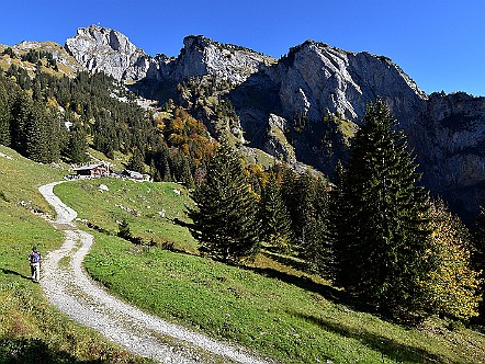 Straesschen zum Berggasthaus Alp Rohr.JPG