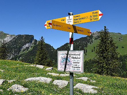 Wanderwegweiser auf der Alp Rainhuetten.JPG