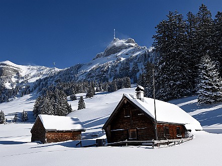 Winterliche Alp Schwaderloch im Alpstein.JPG