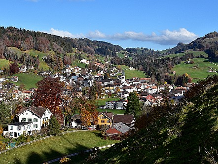 Blick auf Buehler AR im Appenzeller Mittelland.JPG