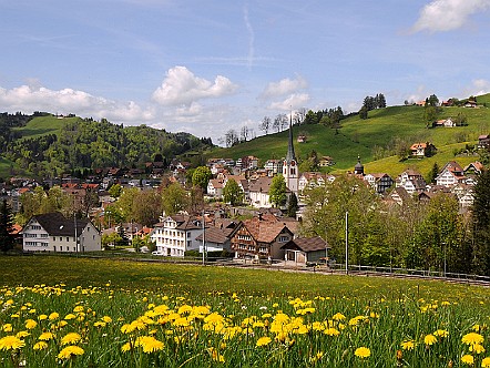 Dorfansicht von Gais AR im Appenzeller Mittelland.JPG