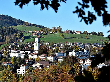 Gemeinde Heiden im Appenzellerland.JPG