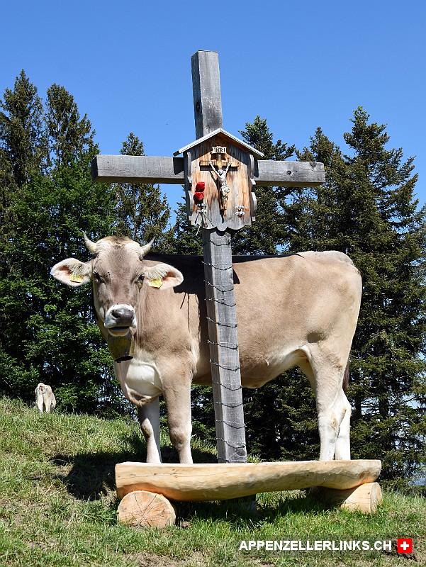 Kuh bei einem Alpkreuz in Appenzell Innerrhoden
