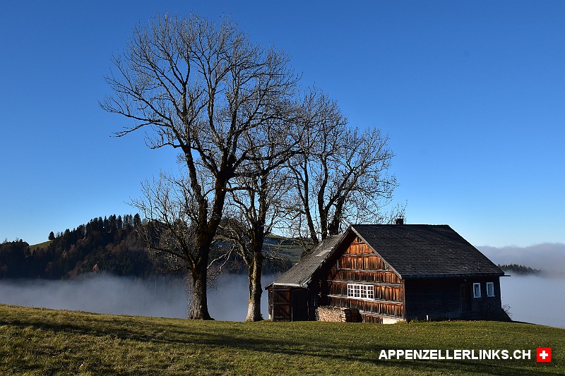 Appenzeller Bauernhaus bei Bruderwald in Trogen AR