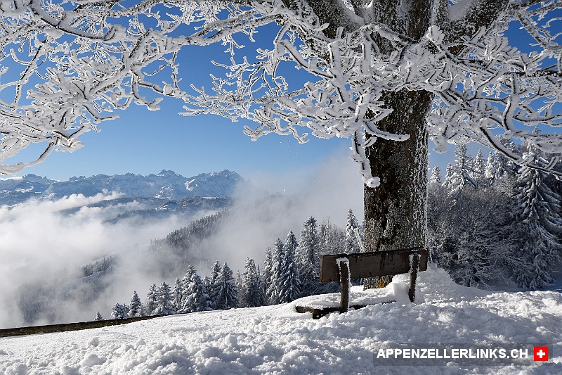 Baenkli auf dem Sankt Anton mit winterlicher Aussicht zum Alpstein