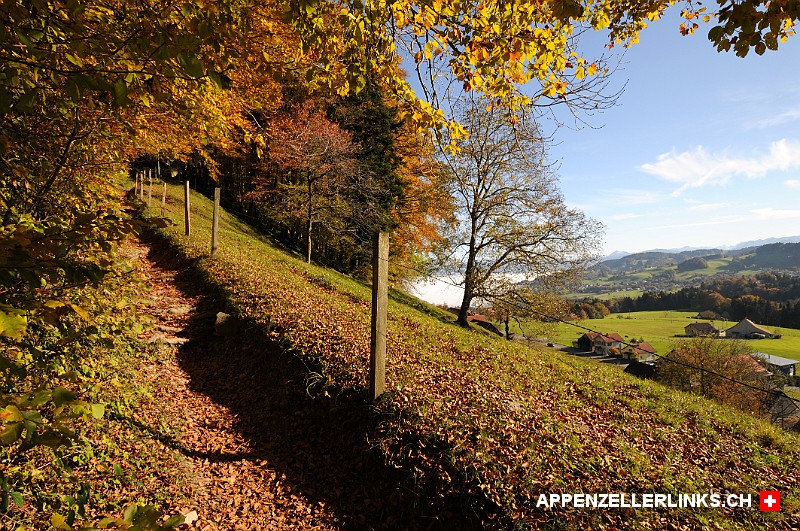Goldener Herbst im Appenzeller Vorderland