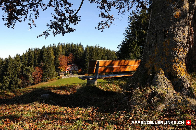 Herbstlicher Blick hinueber zum Naturfreundehaus Kaien