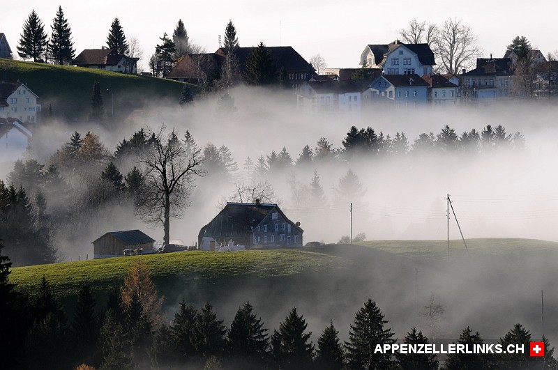 Nebelschwaden im Appenzellerland