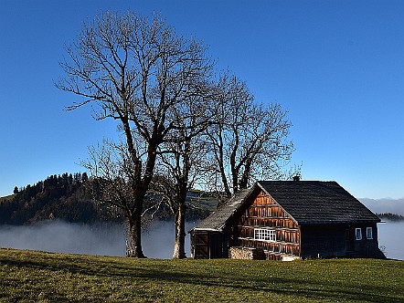 Appenzeller Bauernhaus bei Bruderwald in Trogen AR.JPG
