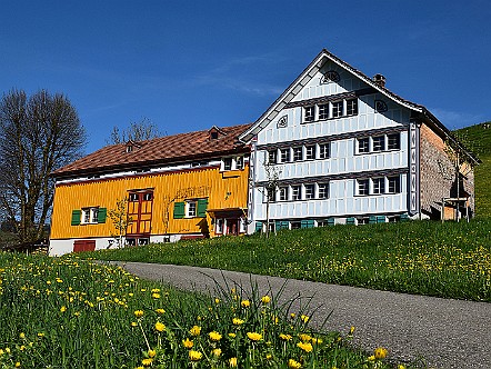 Appenzeller Bauernhaus in typisch traditionellen Farben.JPG