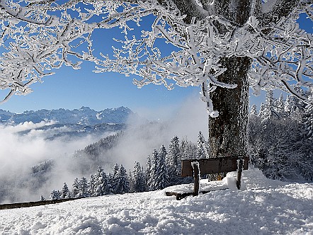 Baenkli auf dem Sankt Anton mit winterlicher Aussicht zum Alpstein.JPG