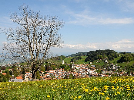 Fruehling im Appenzellerland.jpg
