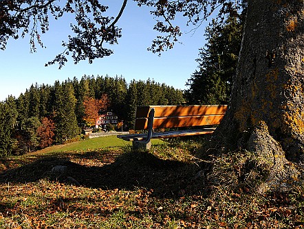 Herbstlicher Blick hinueber zum Naturfreundehaus Kaien.JPG