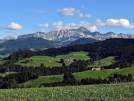 Herrliche Aussicht von Schwellbrunn auf den Alpstein.JPG