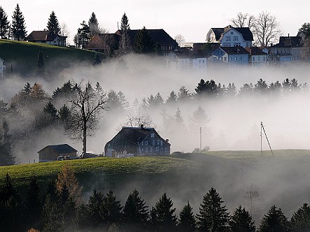 Nebelschwaden im Appenzellerland.JPG