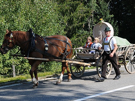 Pferd mit Lediwagen am Ende des Alpzugs in Urnaesch.JPG
