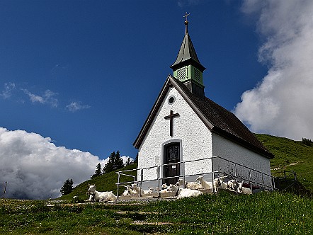 Sankt Jakob Kapelle auf dem Kronberg.JPG