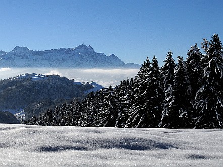 Winter im Appenzellerland.jpg