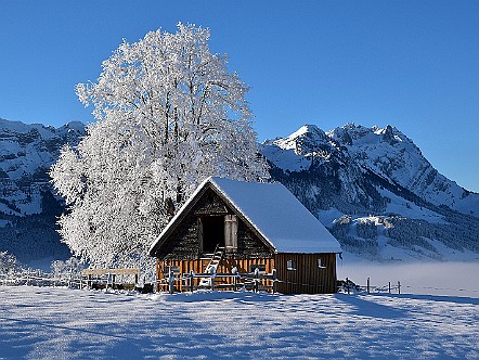 Winter in Appenzell Win­ter in Ap­pen­zell