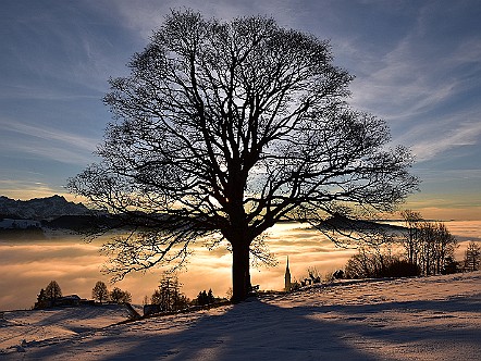 Winterabend-Kalenderbild-Stimmung im Appenzellerland.JPG