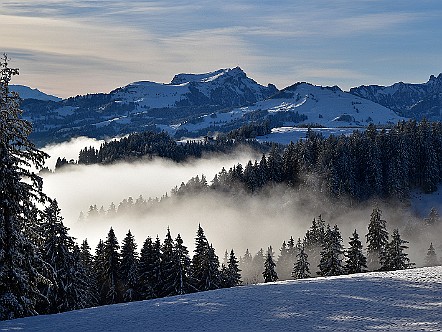Winterstimmung im Appenzellerland.JPG