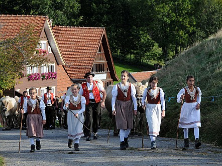 Maedchen in brauner Werktagstracht unterwegs zur Viehschau.jpg