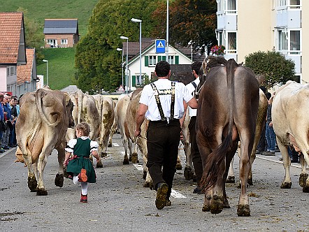 Schaulaufen mit Viehbestand und Familie nach der Viehschau.JPG
