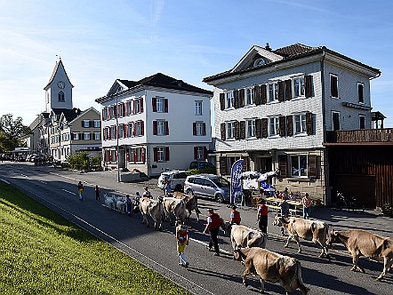 Viehschau in Wolfhalden.JPG