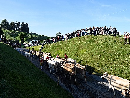 Viele Zaungaeste und Besucher an der jaehrlichen Viehschau.JPG
